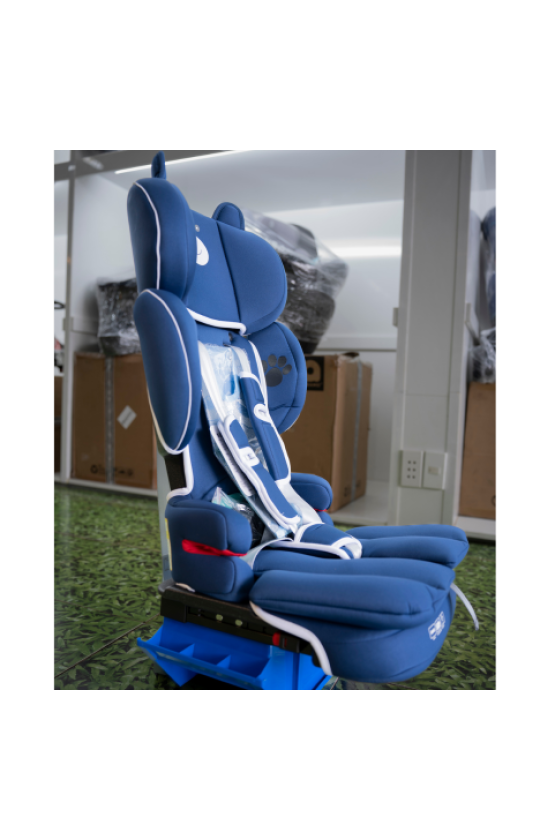 Ghế xanh tai gấu